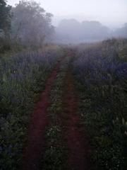 Pathway leading to the unknown in Portugal