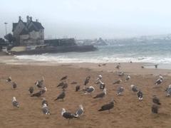 Cascais small beach, a protected area in Portugal