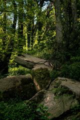 Protected area in Sintra, Portugal