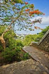 Panoramic view from Sion Fort in Mumbai