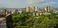 View of Sion Fort with surrounding greenery