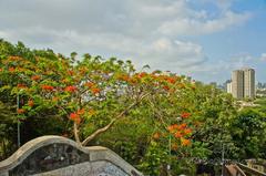 Panoramic view of Sion Fort