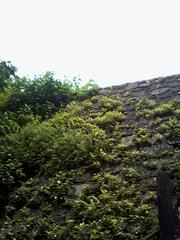 External wall of Sion Fort in Mumbai