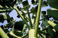 Traffic Light Tree viewed from below