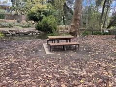 Seating area at Michael Perry Botanic Reserve, Stonyfell