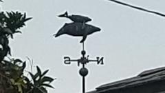 Weather vane atop a house in the Sunset Cliffs neighborhood of San Diego