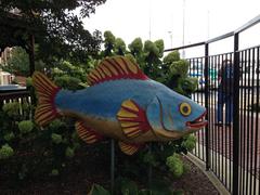 Colorful fish statue in Fell's Point, Baltimore