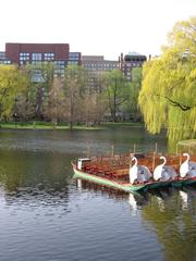 Boston Public Garden in spring 2006 with blooming flowers and cityscape in the background