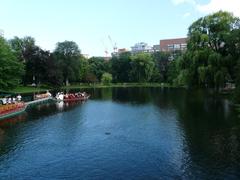 Boston cityscape with park