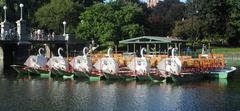 Swan Boats tied up in the Lagoon of the Boston Public Garden