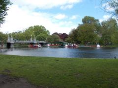 Boston Public Garden Swan Boats