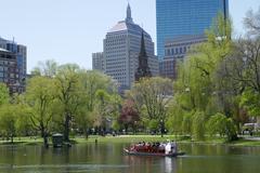 Swan boats on the pond at the Boston Public Garden