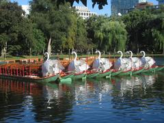 Swan Boats in Boston Public Garden Lagoon