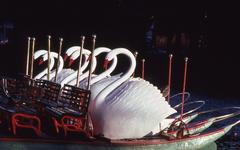 Closeup of Boston Swan Boats