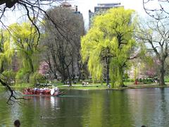 Boston Public Garden Lagoon with Swan Boat