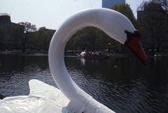 Swan Boat at the Public Garden in May 1976