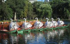 Swan Boats in the Lagoon at Boston Public Garden