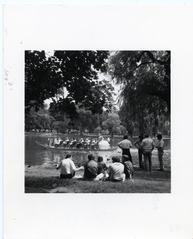 Bateaux Cygnes