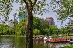 Swan boats at Boston Public Garden pond in warmer months