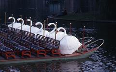 Swan Boats at the Public Garden in autumn