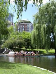 Swan boat on the Lagoon in Boston Public Garden