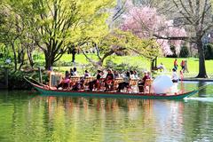 Swan Boats in the USA