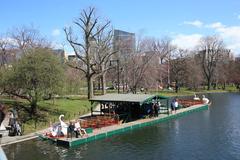 Swan boats in Boston Public Garden pond