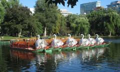 Swan Boats at Boston Public Garden tied up in the Lagoon