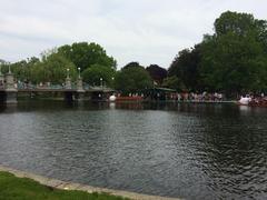 swan boats in the Pond at Boston's Public Garden