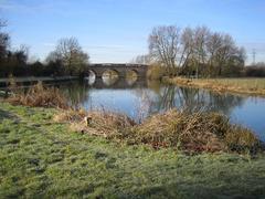 River Thames Swinford Bridge viewed from Eynsham Lock