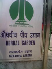 Herbal garden in Talkatora Garden, New Delhi