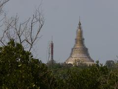 the Global Pagoda