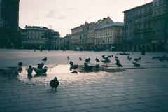 bird drinking from a water fountain