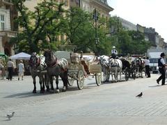 Horse-drawn carriages in Rynek, Kraków