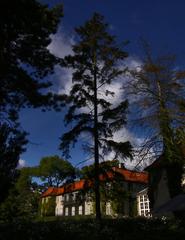 Charlottenlund Garden at Ordrupgaard