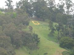 The Big C in Berkeley Hills