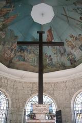 Magellan's Cross