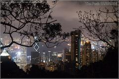 view from The Peak in Hong Kong showing tall skyscrapers and Victoria Harbour