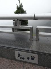 Dog walking sign on the roof of Peak Galleria, Hong Kong