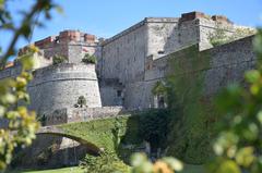 Italian cultural heritage monument covered in ivy