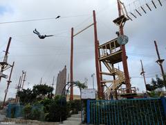 Safari Park Karachi towering trees and walking path