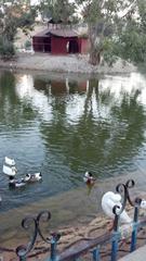 A scenic view of Safari Park in Karachi with lush green trees and tranquil water bodies