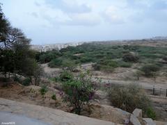 Safari Park Karachi scenic view with lake and trees