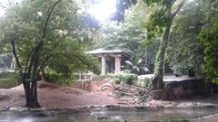 Pond for hippopotamus in Thiruvananthapuram Zoo