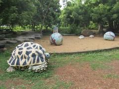 Adyar Poonga Park in Chennai