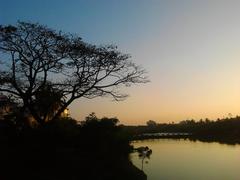 Adyar Poonga's waterbody view from Karpagam Bridge