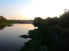 Adyar Poonga waterbody