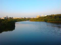 Adyar Poonga waterbody from Karpagam Bridge