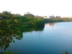 Adyar Poonga waterbody from Karpagam Bridge