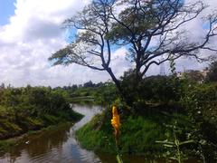 Adyar Poonga waterbody view from Karpagam Bridge